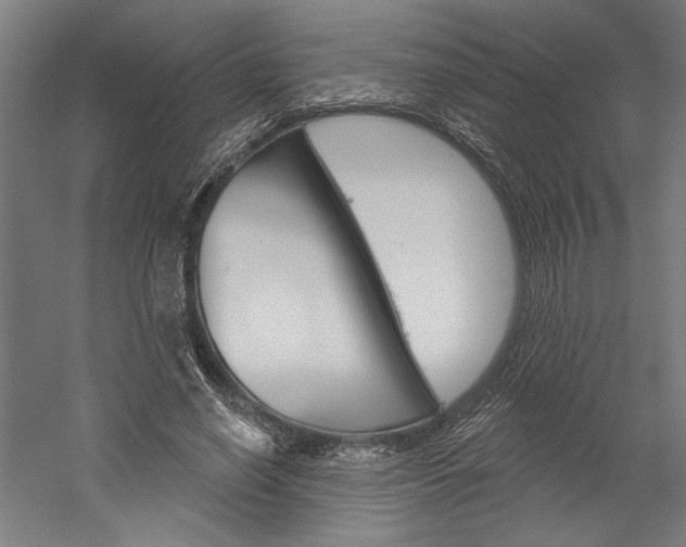X0000060220638200510280912