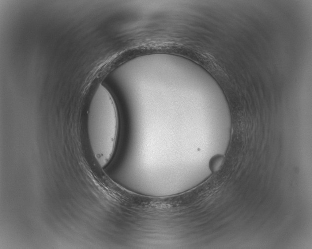 X0000060220640200510280912