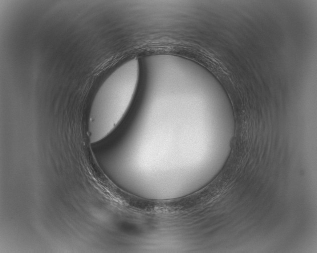 X0000060220641200510280912