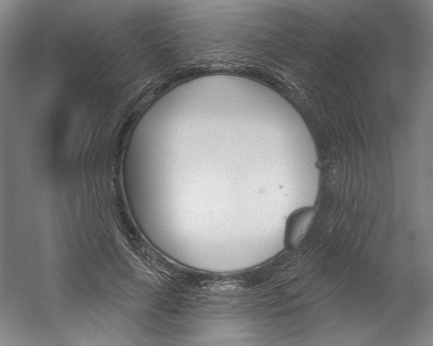 X0000060220643200510280912