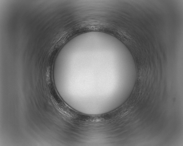 X0000060220646200510280912