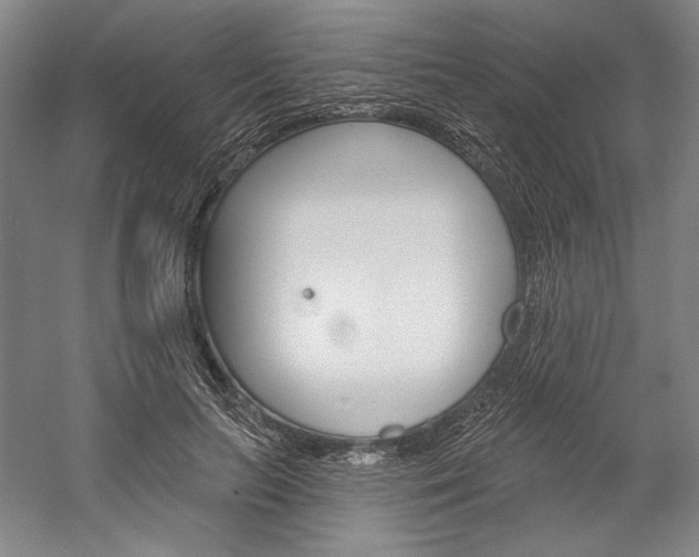 X0000060220647200510280912