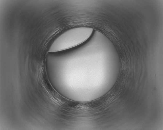 X0000060220648200510280912
