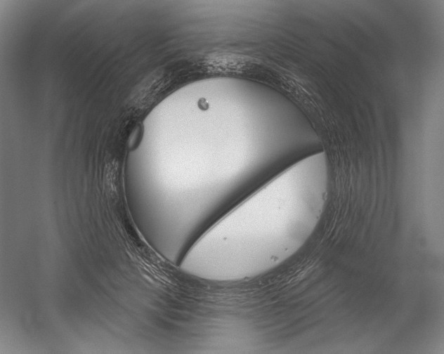 X0000060220649200510280912