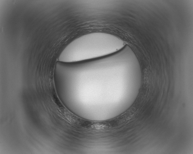 X0000060220650200510280913