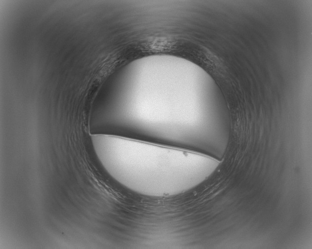 X0000060220651200510280913