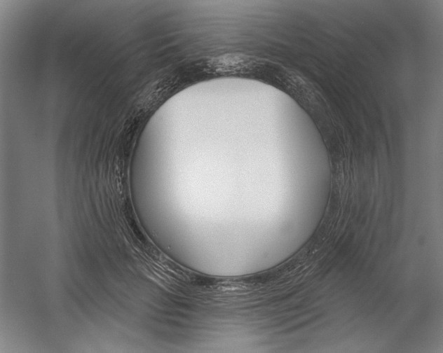 X0000060220653200510280913