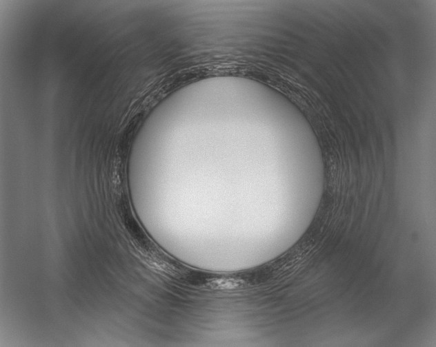 X0000060220654200510280913