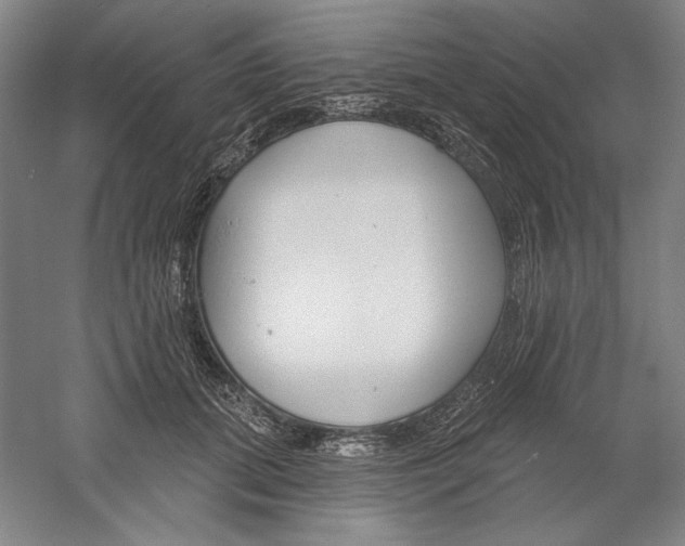 X0000060220655200510280913