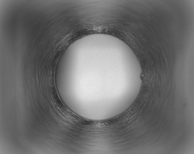 X0000060220656200510280913