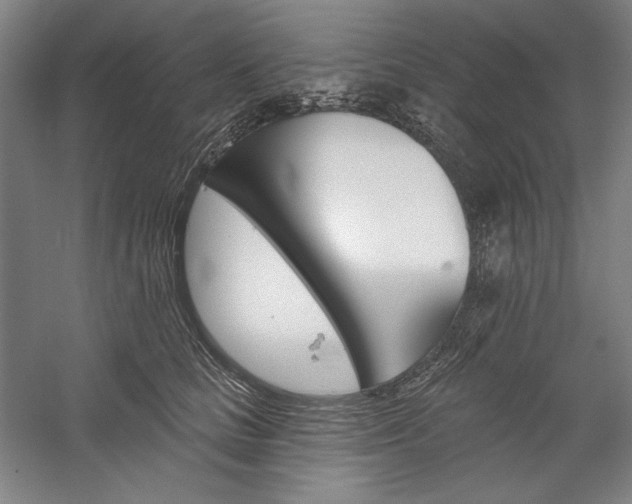 X0000060220661200510280913