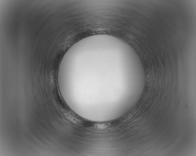 X0000060220662200510280913
