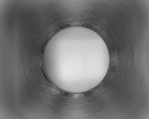 X0000060220663200510280913