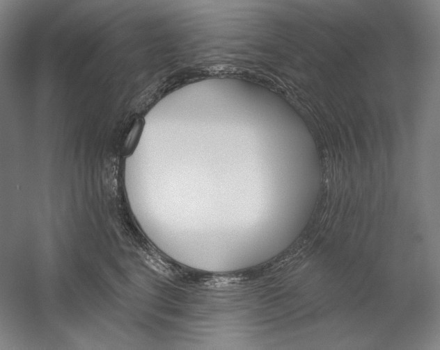 X0000060220664200510280913