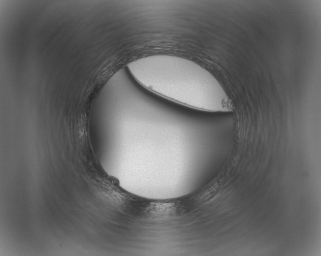 X0000060220665200510280913