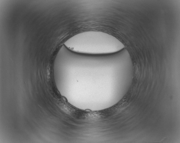 X0000060220668200510280913