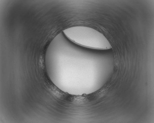 X0000060220669200510280913
