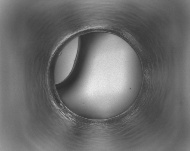 X0000060220676200510280912