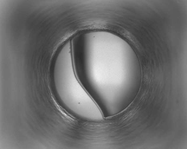 X0000060220677200510280912