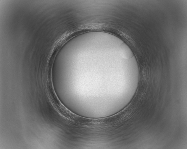X0000060220682200510280912