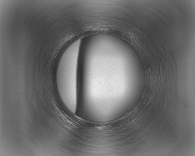 X0000060220692200510280912
