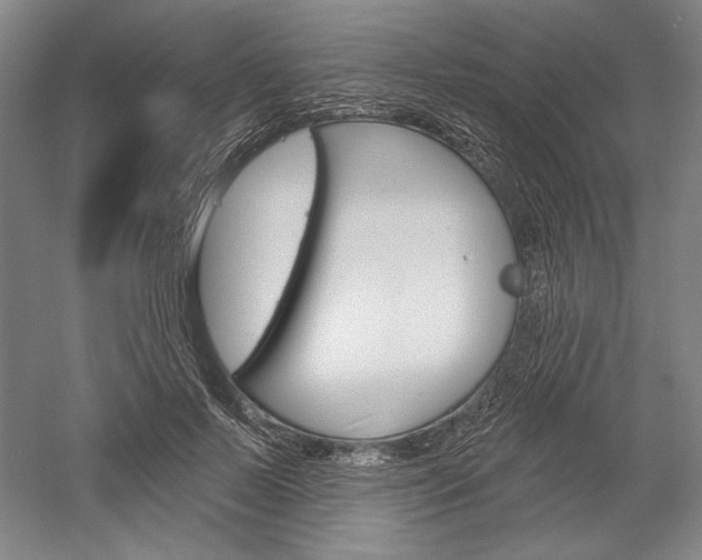X0000060220695200510280912