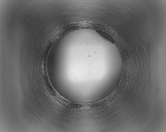 X0000060220696200510280912