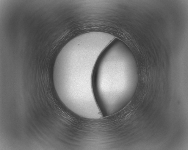 X0000060220697200510280912