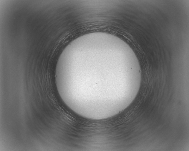 X0000060220701200510280912