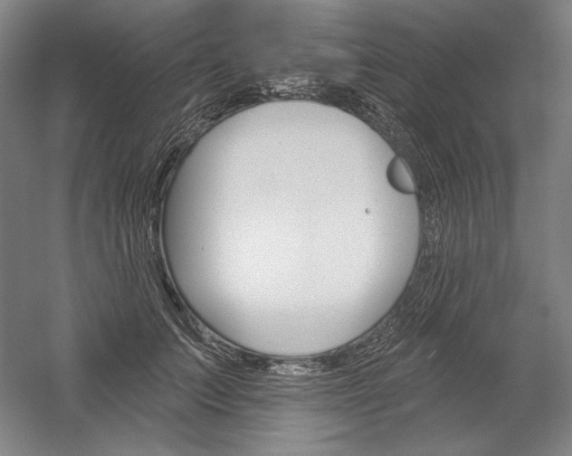 X0000060220703200510280912