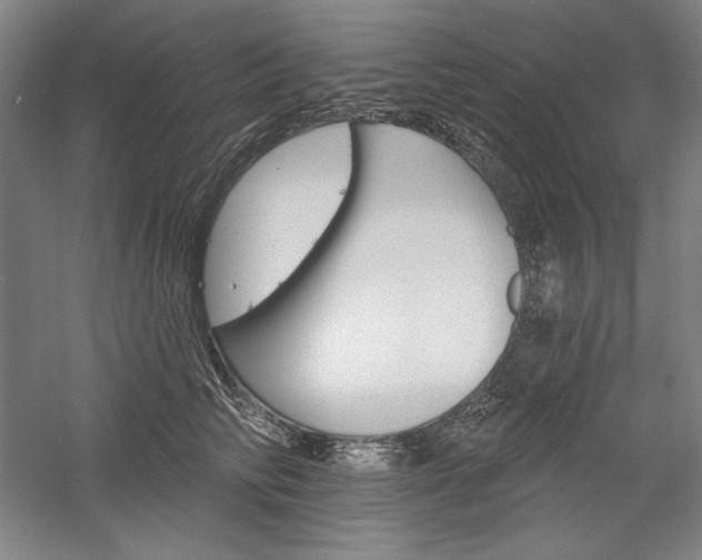 X0000060220710200510280911