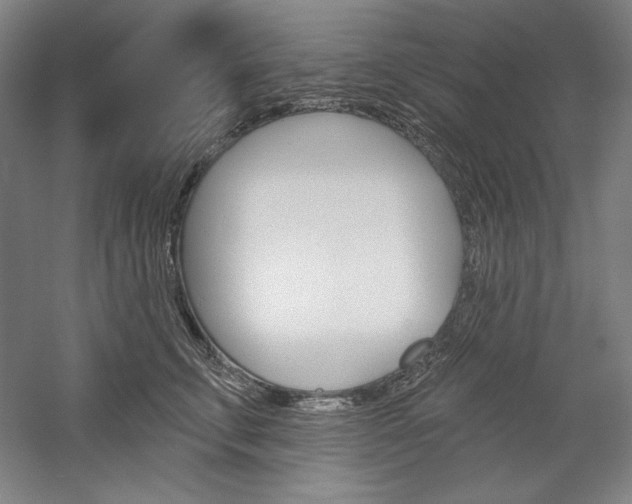 X0000060220711200510280911