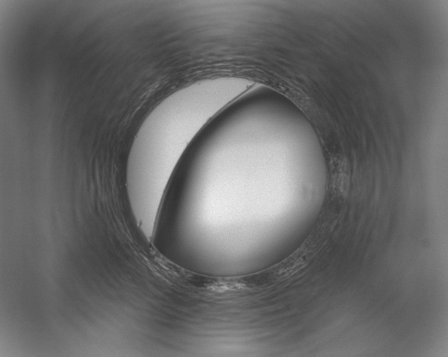 X0000060220712200510280911