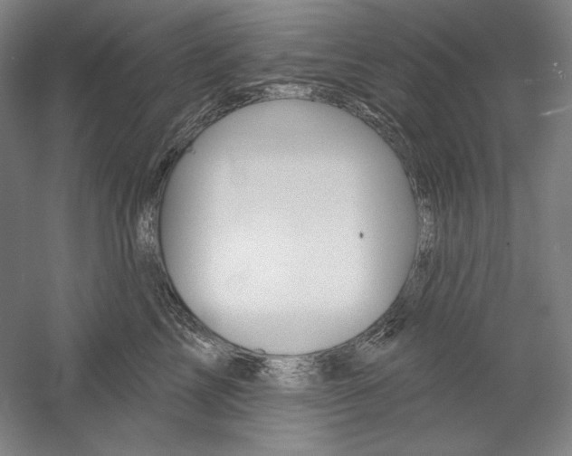 X0000060220713200510280911