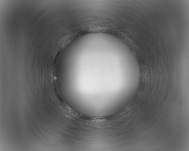 X0000060220716200510280911