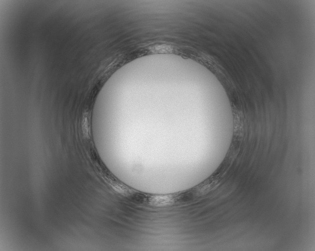 X0000060220717200510280911