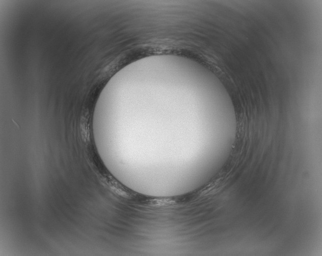 X0000060220719200510280911