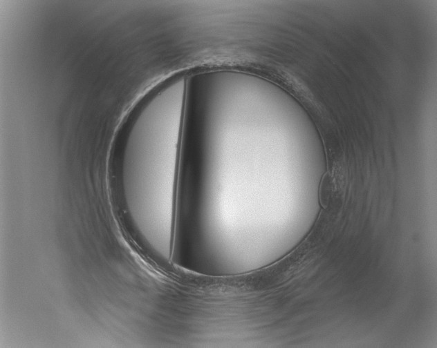 X0000060220722200510280910