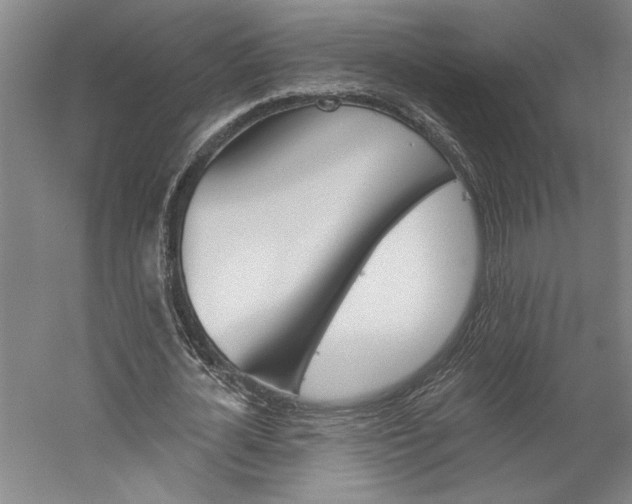 X0000060220724200510280911