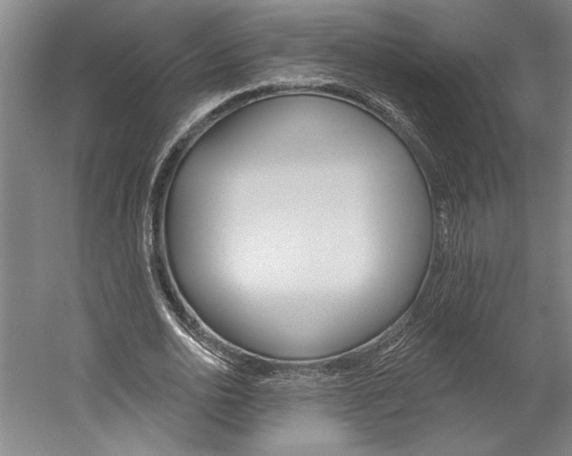 X0000060220726200510280911