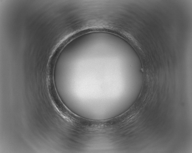 X0000060220728200510280911
