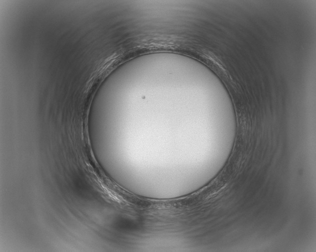 X0000060220729200510280911