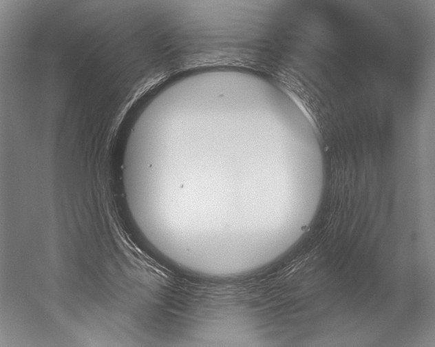 X0000060220731200510280911