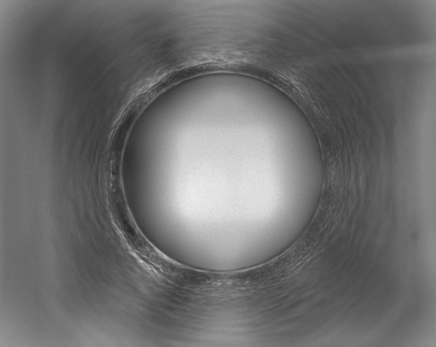 X0000060220736200510280911