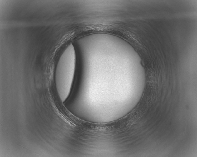 X0000060220738200510280911