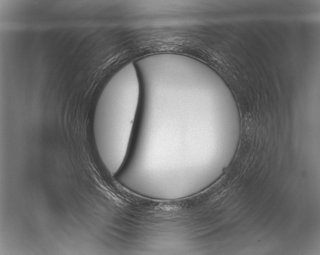 X0000060220741200510280911