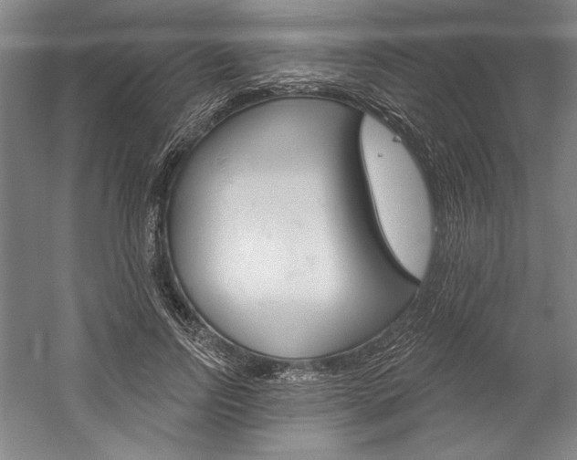 X0000060220742200510280911