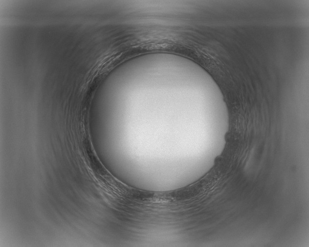 X0000060220743200510280911
