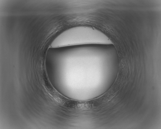 X0000060220744200510280911