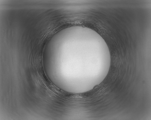 X0000060220747200510280911